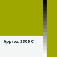 Color chip: Approx. 2305 C