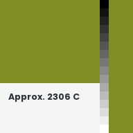 Color chip: Approx. 2306 C