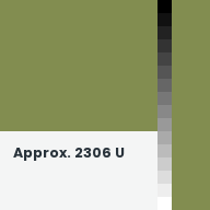 Color chip: Approx. 2306 U
