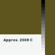 Color chip: Approx. 2308 C