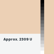 Color chip: Approx. 2309 U