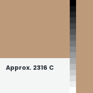 Color chip: Approx. 2316 C