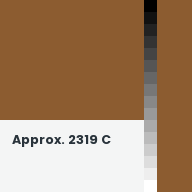 Color chip: Approx. 2319 C