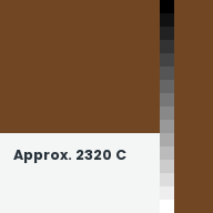 Color chip: Approx. 2320 C