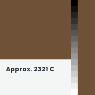 Color chip: Approx. 2321 C