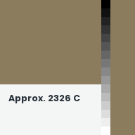 Color chip: Approx. 2326 C
