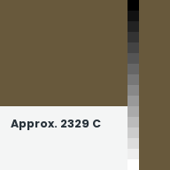 Color chip: Approx. 2329 C