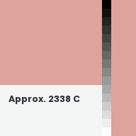 Color chip: Approx. 2338 C