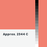 Color chip: Approx. 2344 C