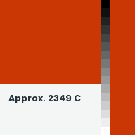 Color chip: Approx. 2349 C