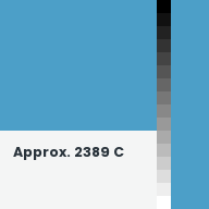 Color chip: Approx. 2389 C