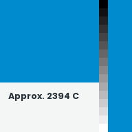 Color chip: Approx. 2394 C