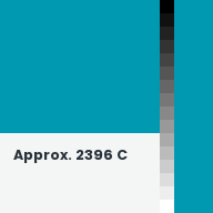Color chip: Approx. 2396 C