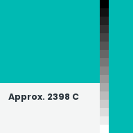 Color chip: Approx. 2398 C