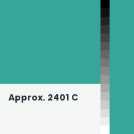 Color chip: Approx. 2401 C