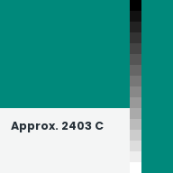 Color chip: Approx. 2403 C