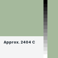 Color chip: Approx. 2404 C