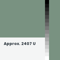 Color chip: Approx. 2407 U