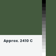 Color chip: Approx. 2410 C