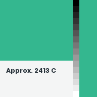 Color chip: Approx. 2413 C