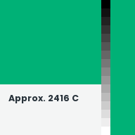 Color chip: Approx. 2416 C