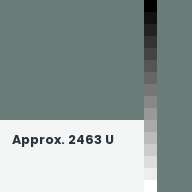 Color chip: Approx. 2463 U