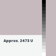 Color chip: Approx. 2473 U