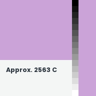 Color chip: Approx. 2563 C