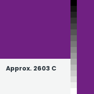Color chip: Approx. 2603 C
