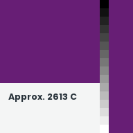 Color chip: Approx. 2613 C