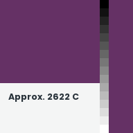 Color chip: Approx. 2622 C