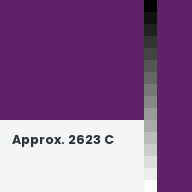Color chip: Approx. 2623 C