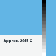 Color chip: Approx. 2915 C