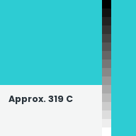 Color chip: Approx. 319 C