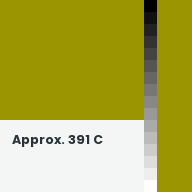 Color chip: Approx. 391 C