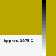 Color chip: Approx. 3975 C