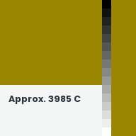 Color chip: Approx. 3985 C