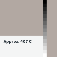 Color chip: Approx. 407 C