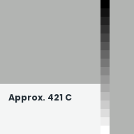 Color chip: Approx. 421 C