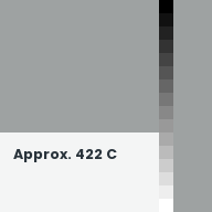 Color chip: Approx. 422 C