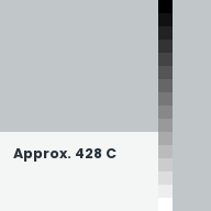 Color chip: Approx. 428 C