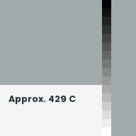 Color chip: Approx. 429 C