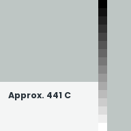 Color chip: Approx. 441 C