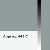 Color chip: Approx. 443 C