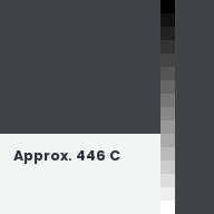 Color chip: Approx. 446 C