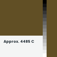 Color chip: Approx. 4485 C
