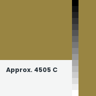 Color chip: Approx. 4505 C