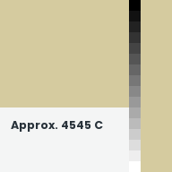 Color chip: Approx. 4545 C