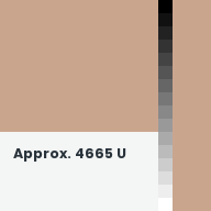 Color chip: Approx. 4665 U