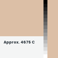 Color chip: Approx. 4675 C